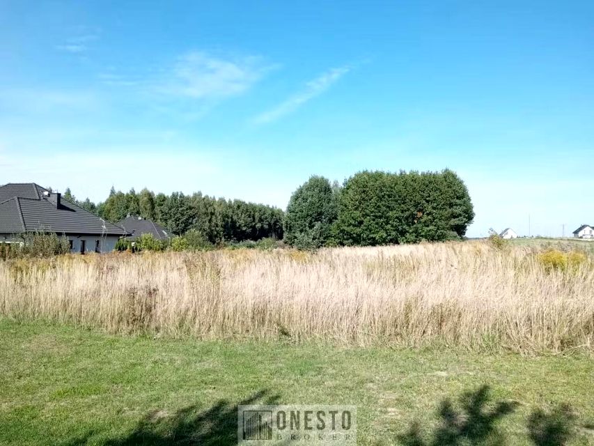 Zalesiona działka Podzamcze