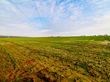 Działka budowlana Zemborzyce Podleśne sprzedam