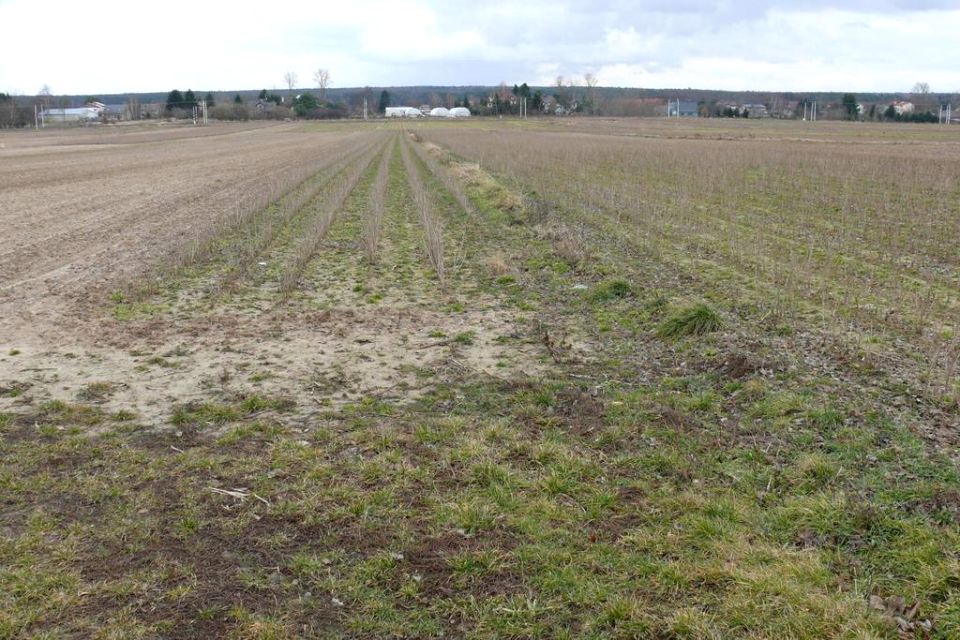 Działka budowlana Lublin