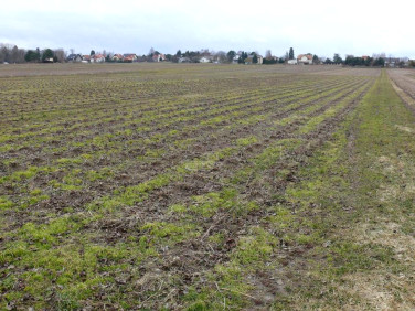 Działka budowlana Lublin