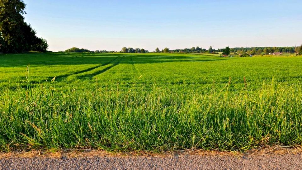 Działka budowlana Miłocin sprzedam
