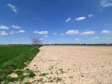 Działka budowlana Stoczek sprzedam