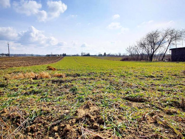 Działka budowlana Miłocin sprzedam