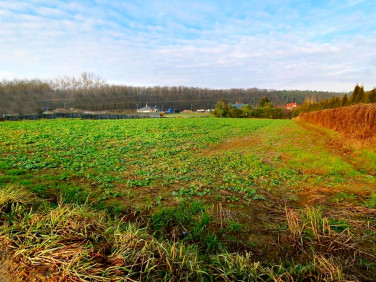 Działka budowlana Lublin sprzedam