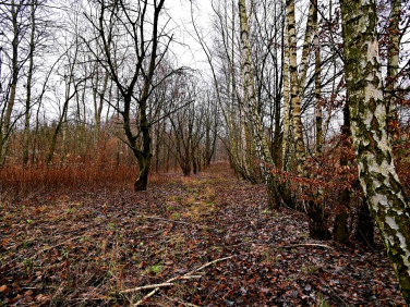 Działka rolna Kazimierz Dolny sprzedam