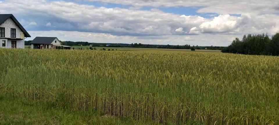 Działka budowlana Starościn sprzedam