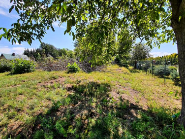 Działka rolna Sadurki