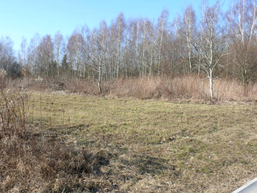 Działka budowlana Nałęczów sprzedam