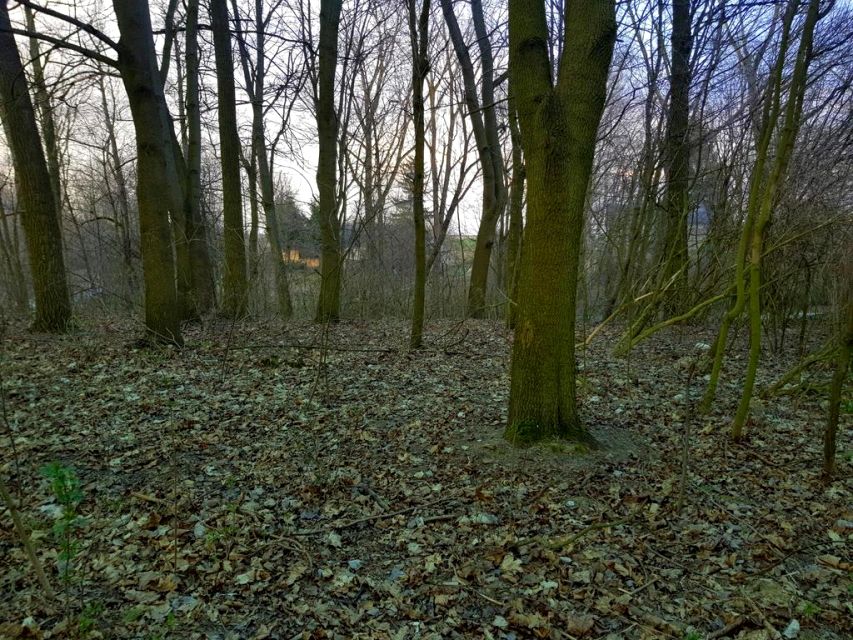 Działka leśna Kocianów sprzedam