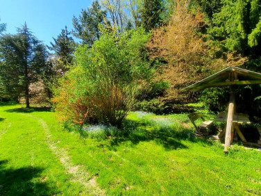 Działka budowlana Zemborzyce Tereszyńskie sprzedam