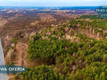 Działka leśna Załuże