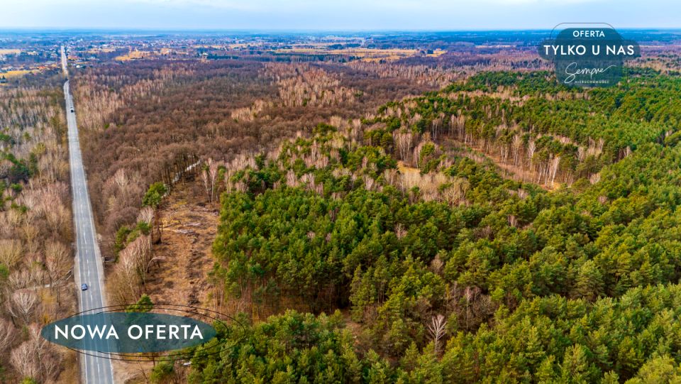 Działka leśna Załuże