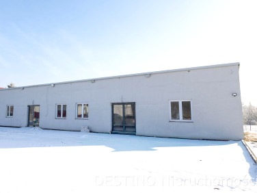 Lokal Kalisz wynajem