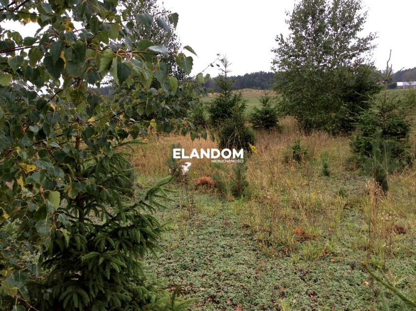 Działka leśna Stare Juchy