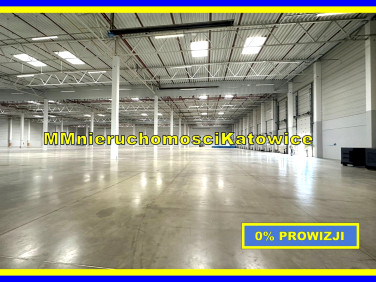 Budynek użytkowy Dąbrowa Górnicza