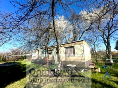 Działka budowlana Nowe Załubice