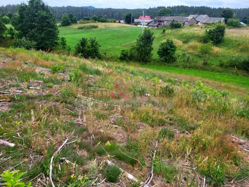 Działka budowlana Borek Kamienny