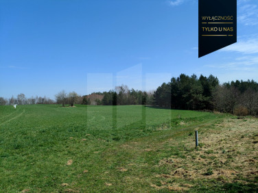 Działka rolna Rąb sprzedam
