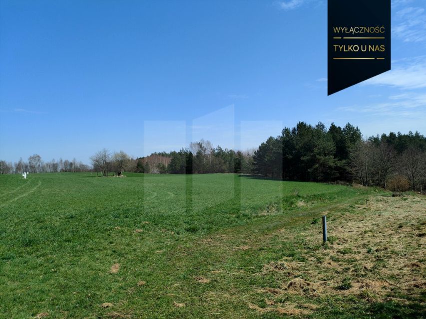 Działka rolna Rąb sprzedam