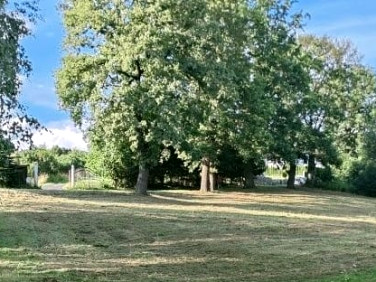 Działka budowlana Leśna