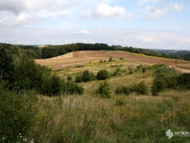 Działka rolna Biały Kościół