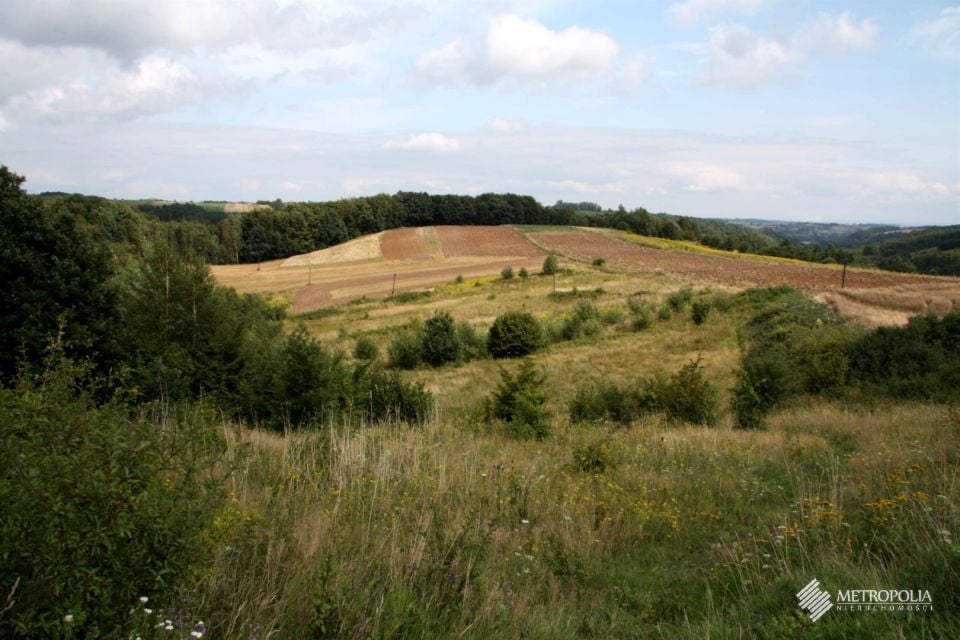 Działka rolna Biały Kościół