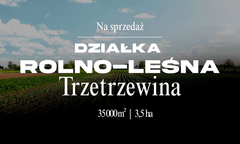 Działka Trzetrzewina