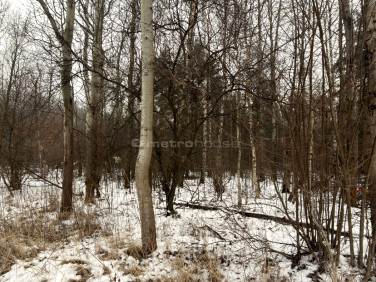 Działka leśna Rzerzęczyce