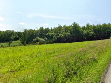 Działka budowlana Wyźrał