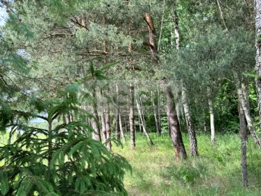 Działka Stara Wieś