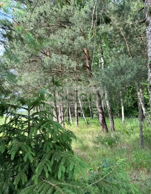 Działka Stara Wieś