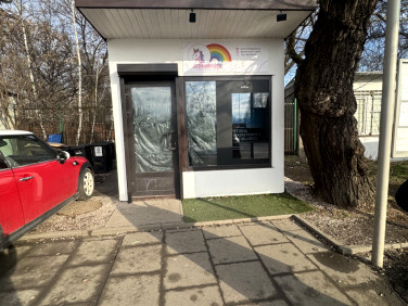 Lokal Kraków