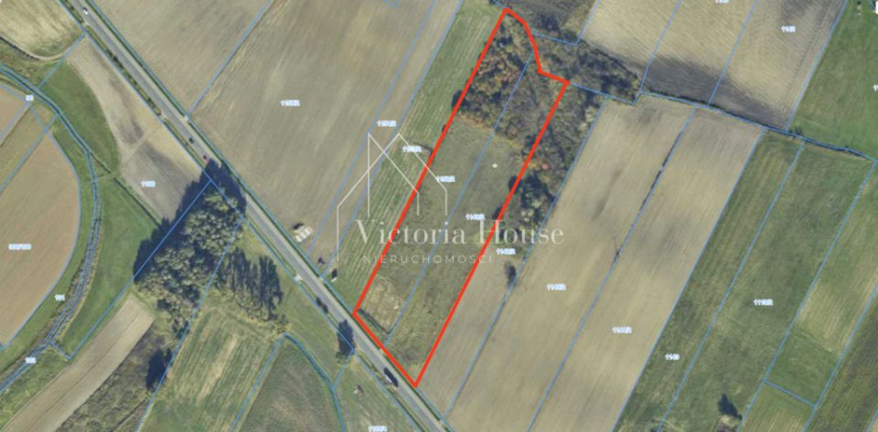 Działka przemysłowa Stare Siołkowice