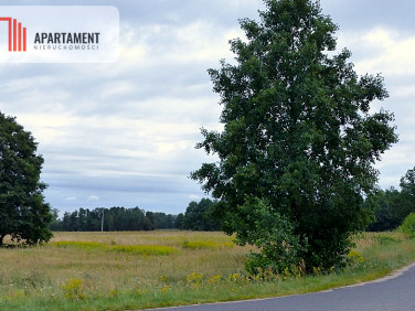 Działka siedliskowa Małomin