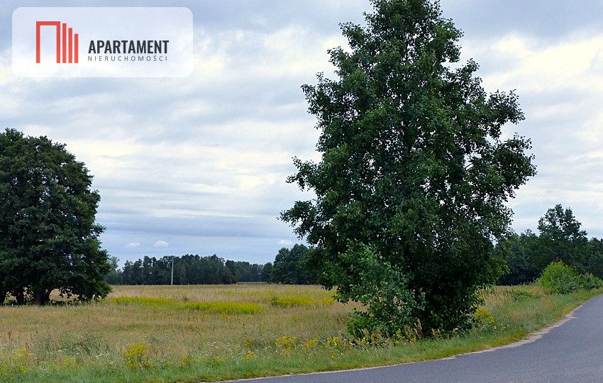 Działka siedliskowa Małomin