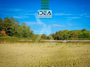 Działka budowlana Kruszyn Krajeński