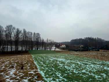 Działka Pisarzowice