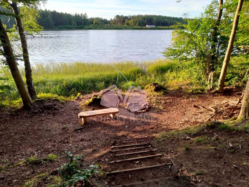 Działka leśna Kamienicki Młyn