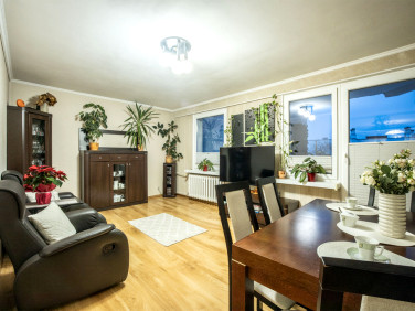 Mieszkanie przy lesie