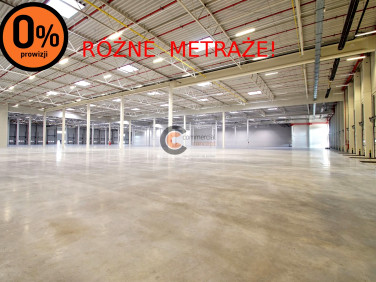 Budynek użytkowy Będzin wynajem