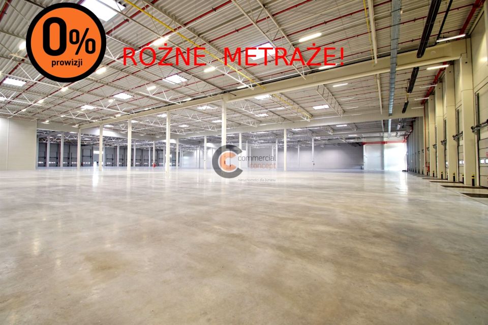 Budynek użytkowy Będzin wynajem