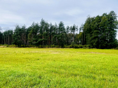 Działka budowlana Nowa Jastrząbka