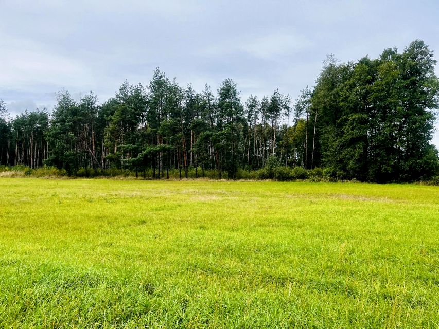 Działka budowlana Nowa Jastrząbka