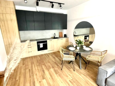 Mieszkanie Łódź wynajem