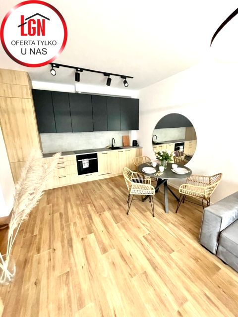 Mieszkanie Łódź wynajem