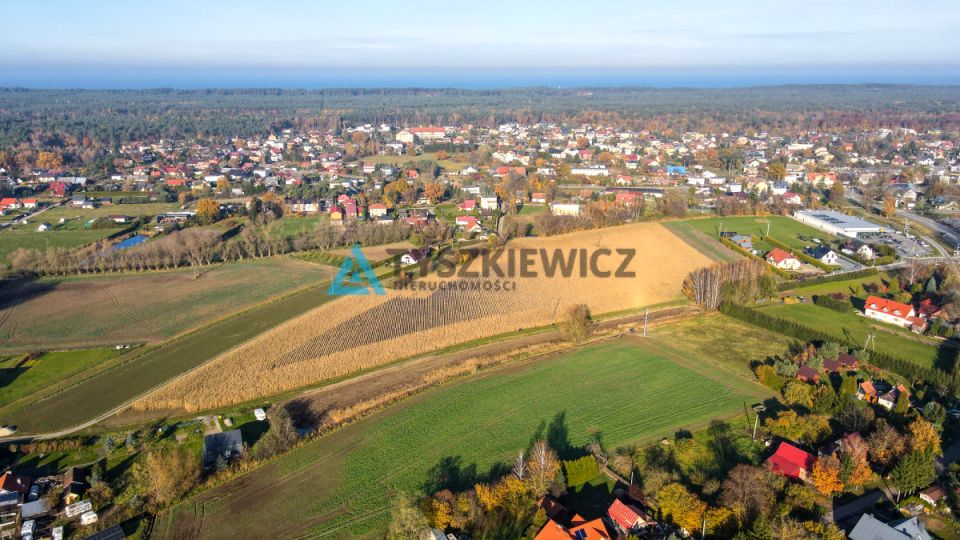 Zdjęcie 3