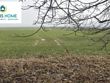 Działka usługowa Stary Grodków