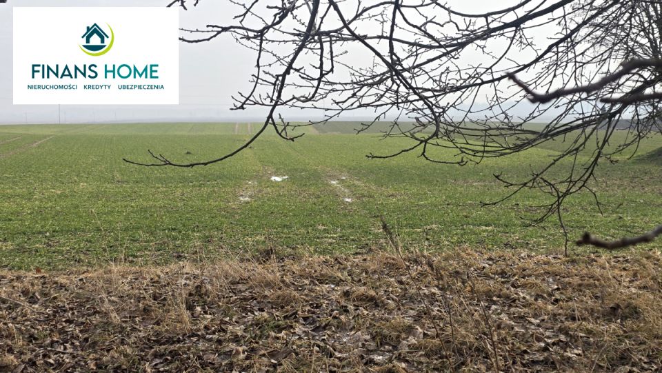 Działka usługowa Stary Grodków