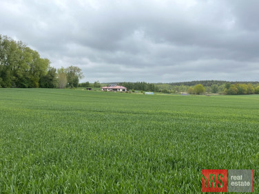 Działka budowlana Niemierze