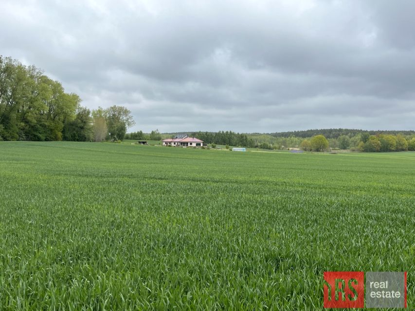 Działka budowlana Niemierze